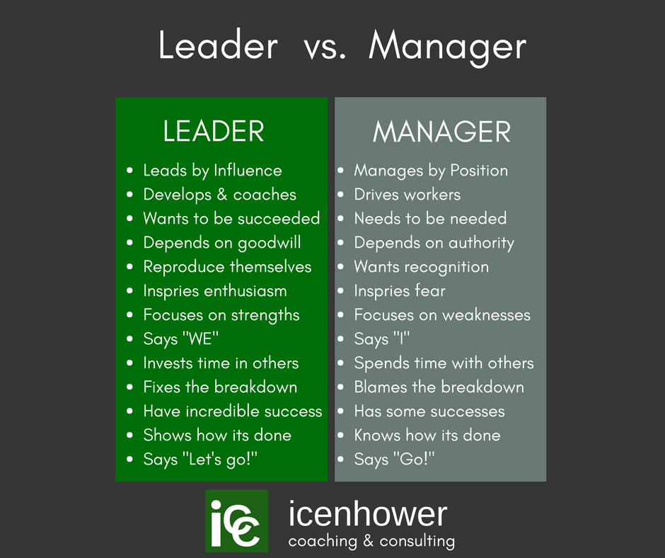 Real Estate Team Leader v. Manager