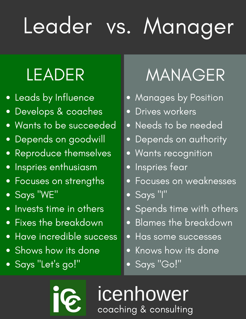 Real Estate Team Leader V Manager InfoGraphic