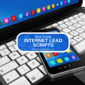 real estate internet lead scripts
