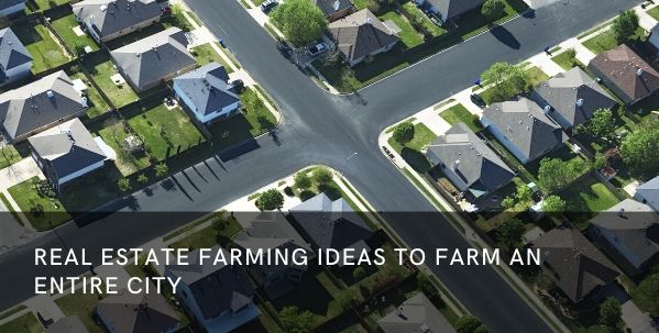 real estate farming ideas