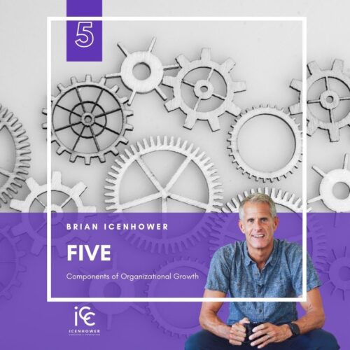 FIVE: Components of Organizational Growth