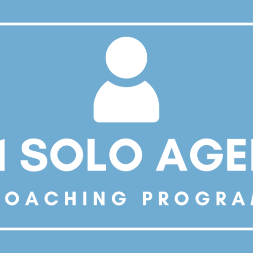 1x1 Solo Agent Real Estate Coaching Program