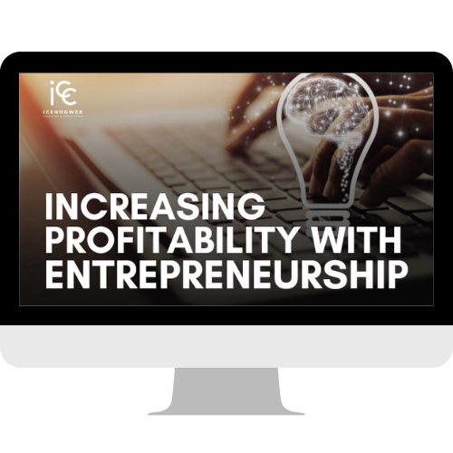 Increasing Profitability with Entrepreneurship (1)