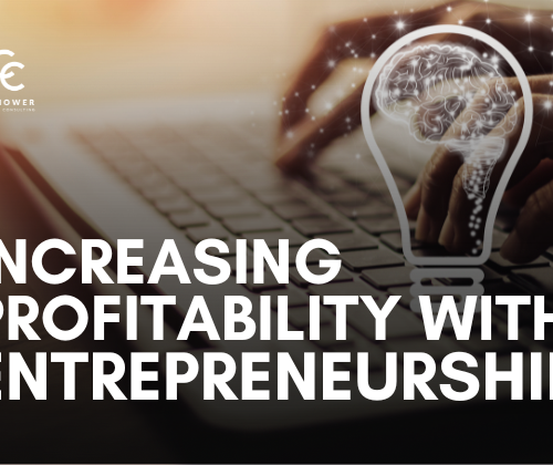 Increasing Profitability with Entrepreneurship